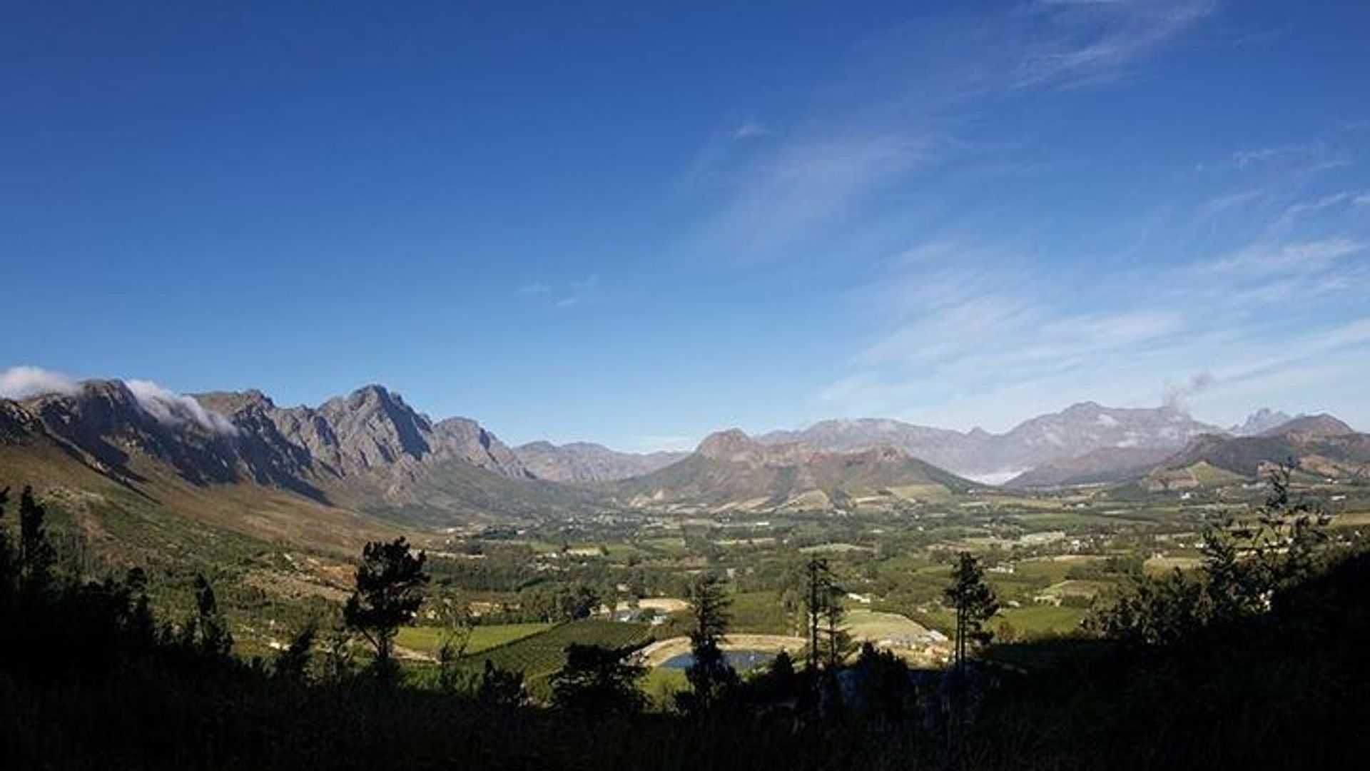 Visite privée du vin dirigée par un expert à Stellenbosch / Franschhoek