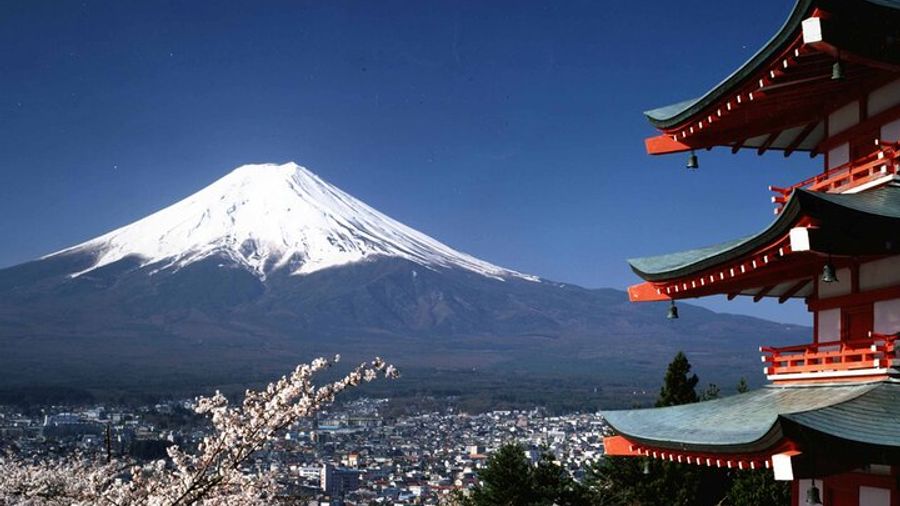 Mount Fuji Full-Day Customizable Private Tour with Bilingual Guide