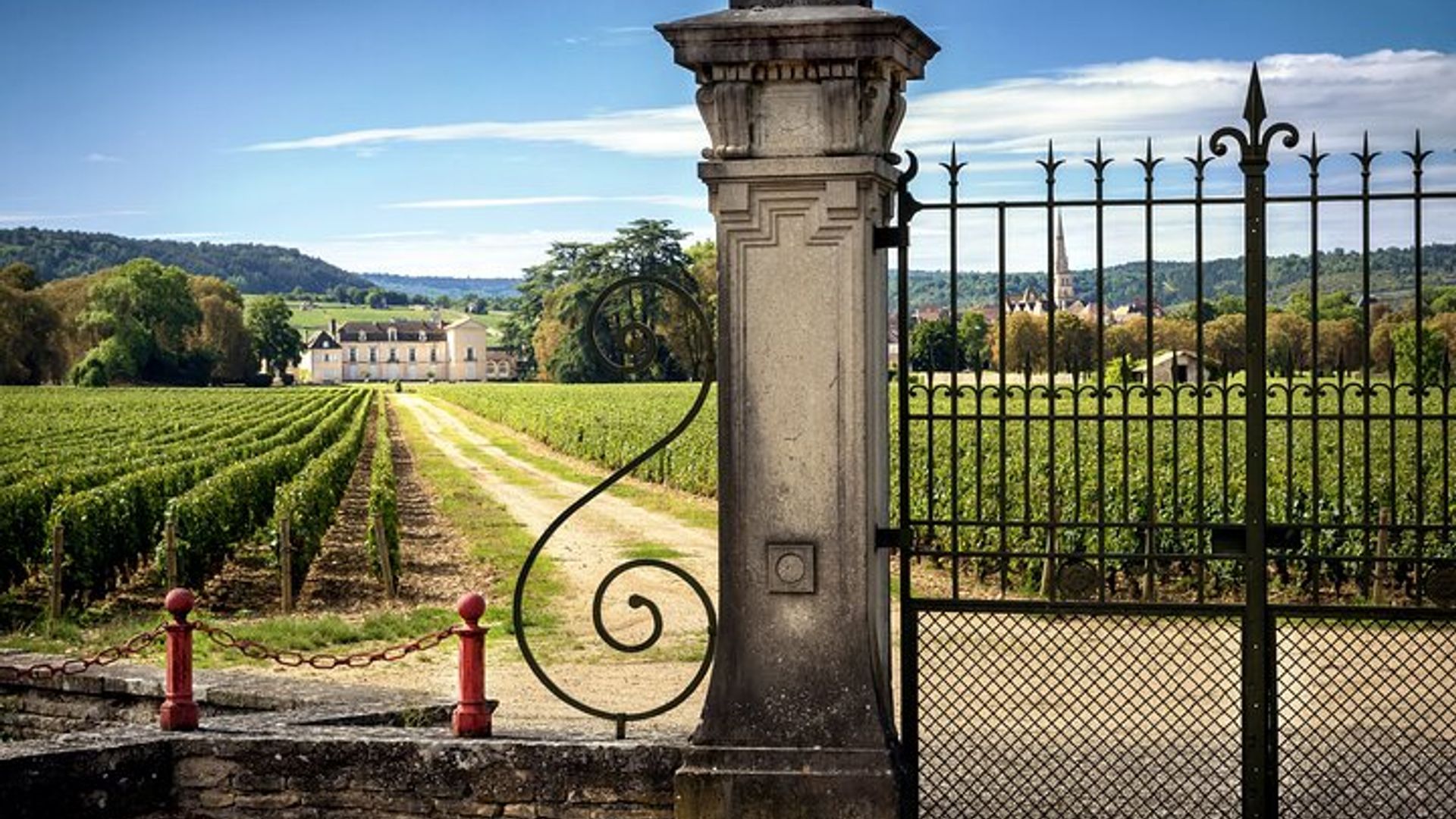Dijon Weintour Côte de Nuits und Côte de Beaune Weinberge