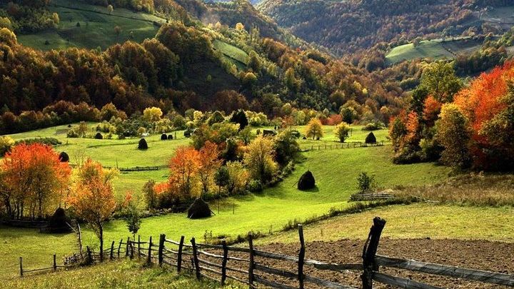 Best of Western Serbia: Zlatibor & Tara Mountains Two Day Trip
