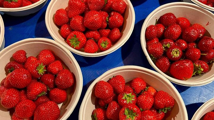 Stockholm Small-Group Walking Food Tour