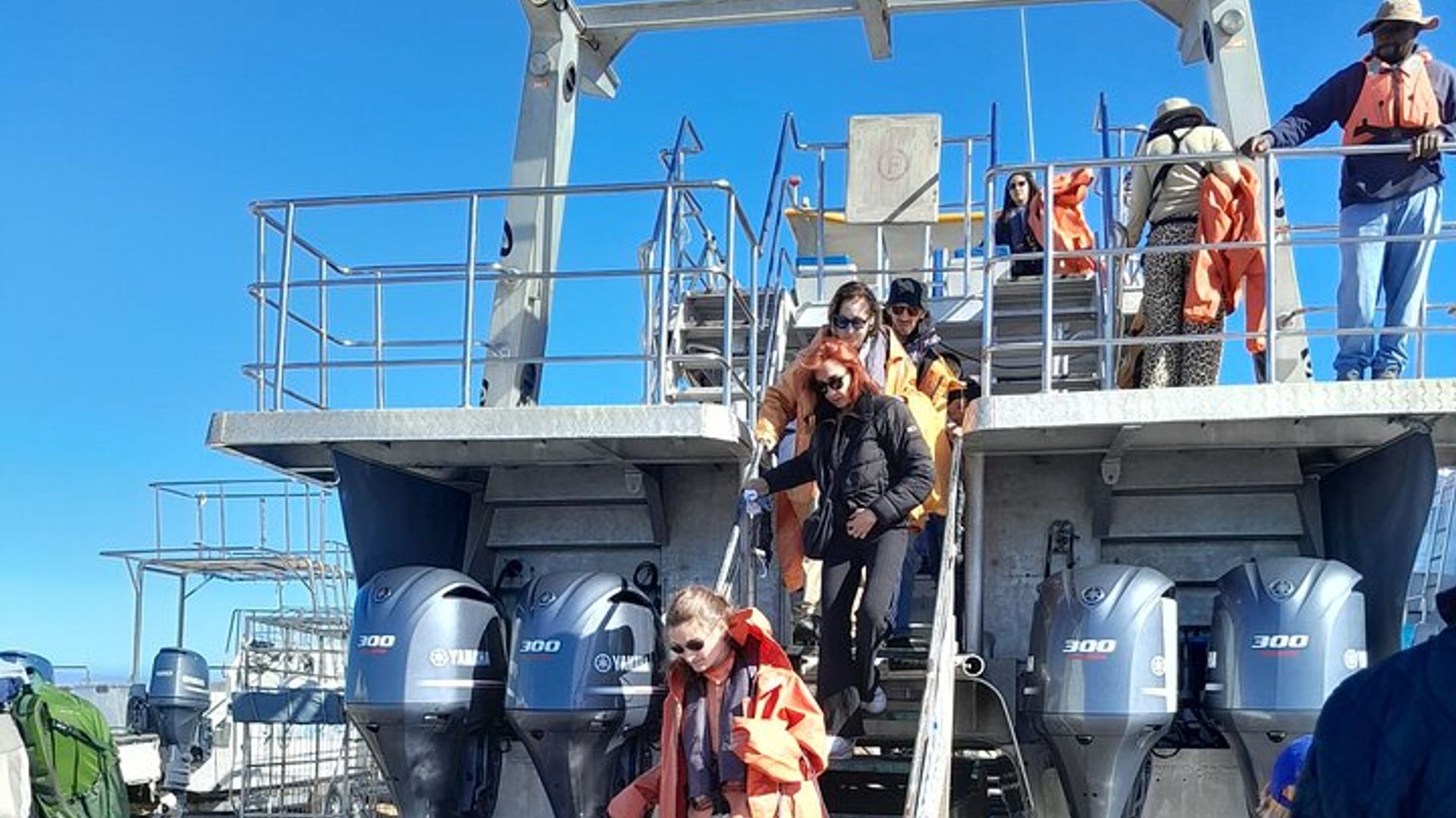 Activité privée d'observation guidée des baleines au Cap