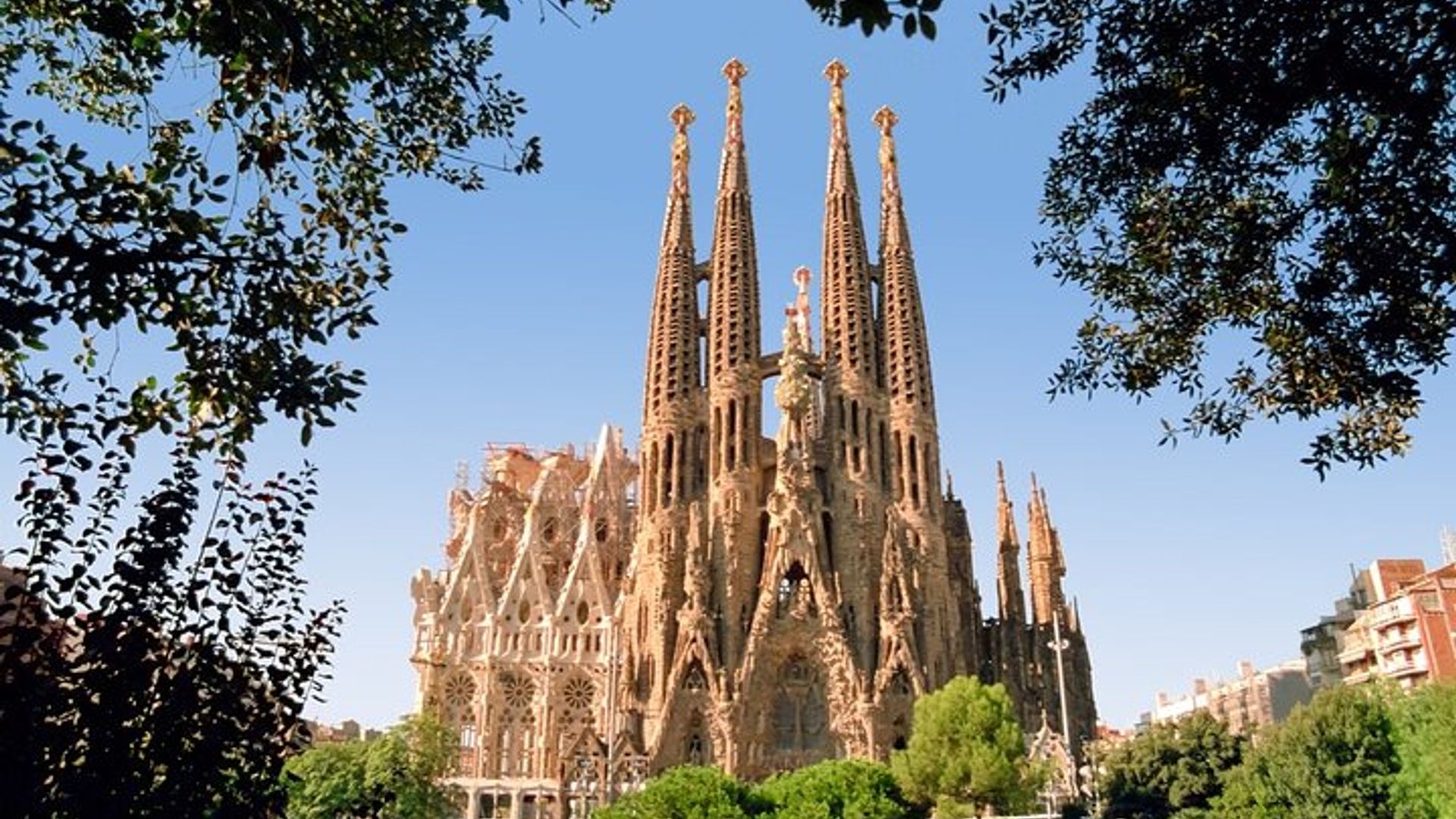 Taste of Barcelona Gourmet Tapas and Wine in the Gothic Quarter