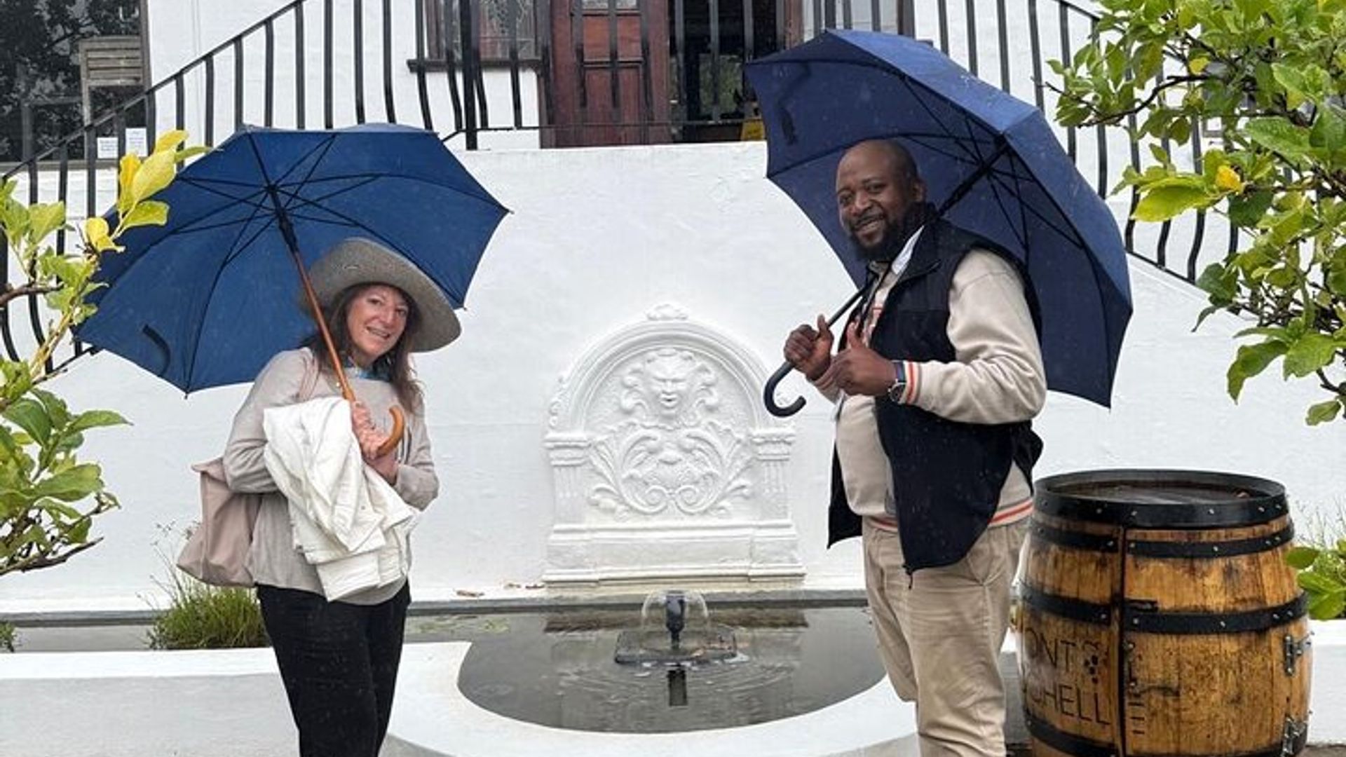 Tour en tranvía del vino de Franschhoek con paradas libres