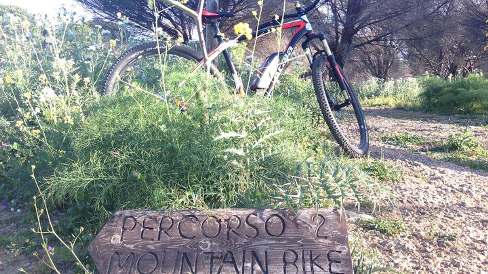Mount Pellegrino MTB-Erfahrung