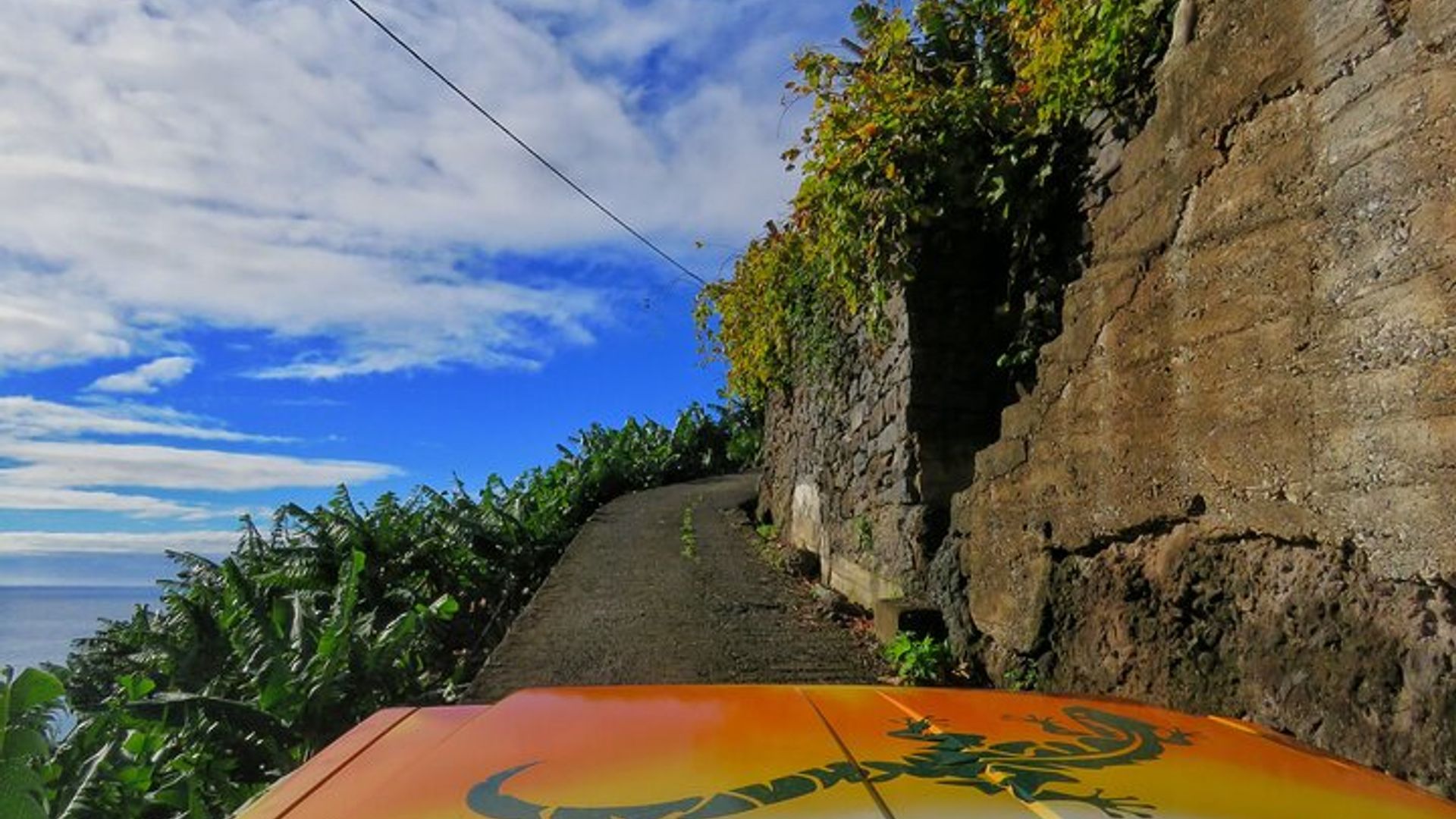Sunny Southwest, Rum, Banana, Waterfall and Lighthouse Discovery