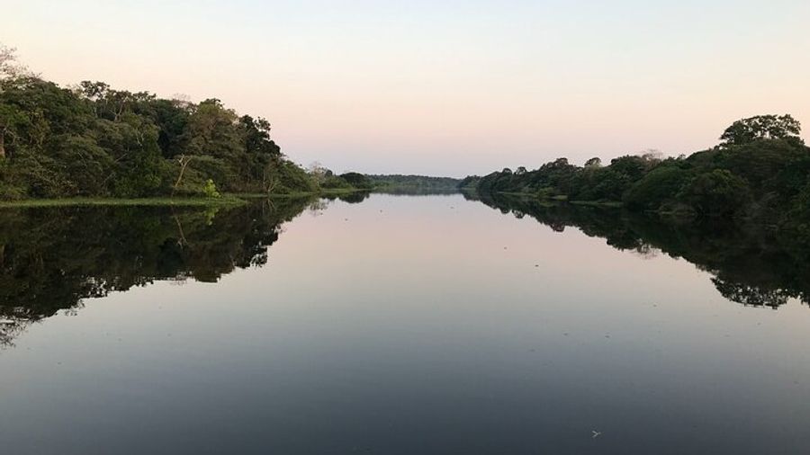 Amazon River Day Tour With Indigenous Village Visit