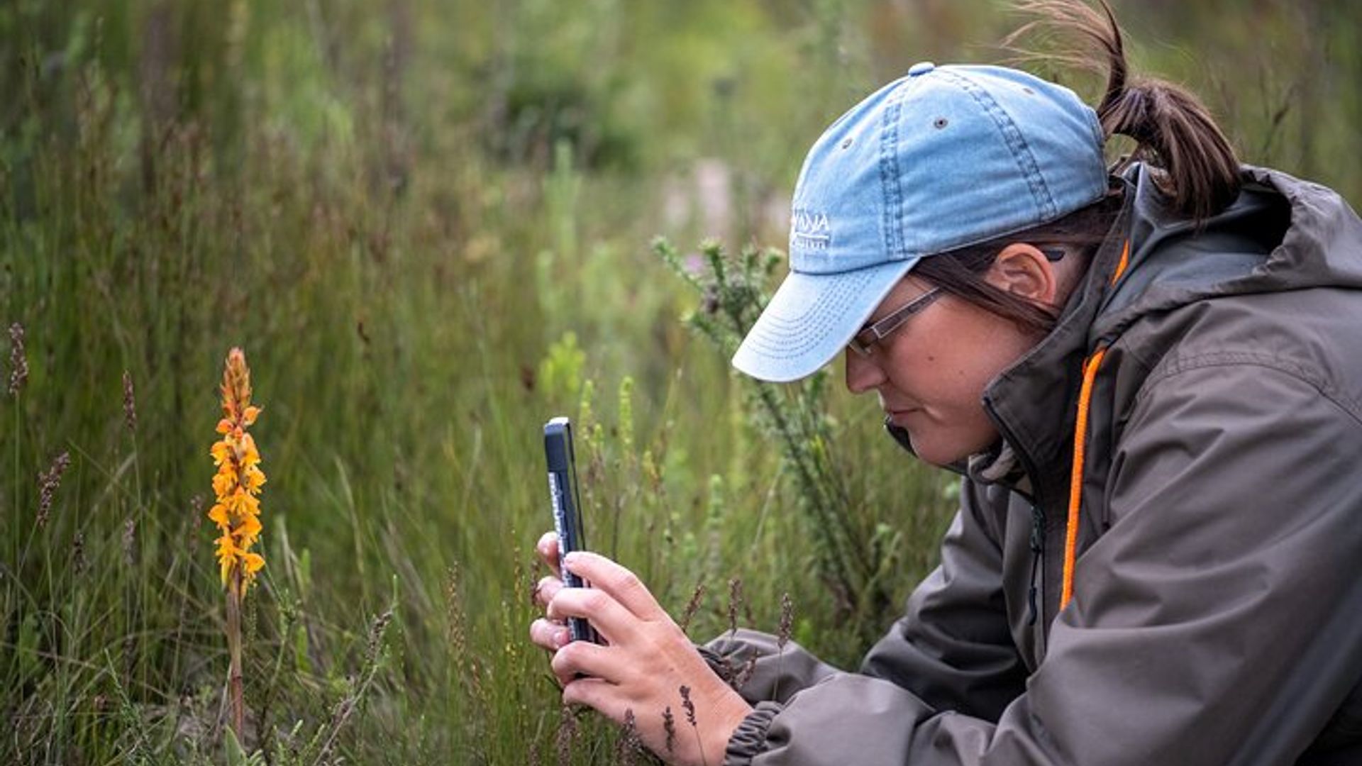 2 Nächte Gondwana Safari Tour ab Kapstadt