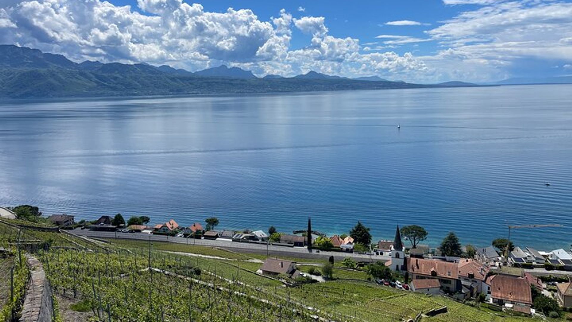 Visite des Vignobles de Lavaux et Musée du Vin au Château d'Aigle