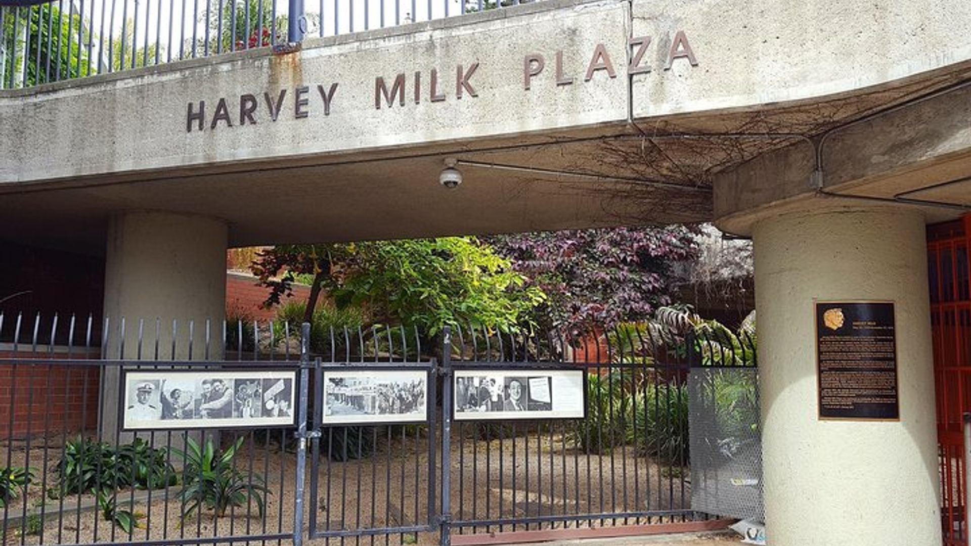 Castro, LGBT History, Harvey Milk Walking Tour in SF image 2
