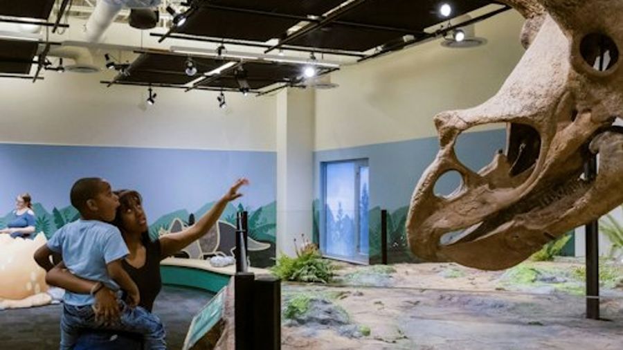Glazer Children's Museum: Play All-Day Admission