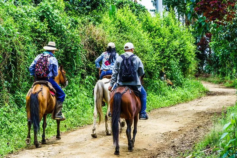 Cocora Valley and Salento Horseback Riding Day Tour | Walking Tours in ...