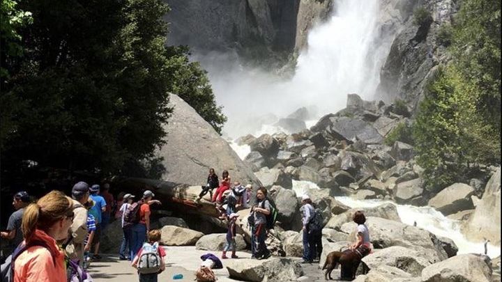 Yosemite National Park Small-Group Tour From San Francisco