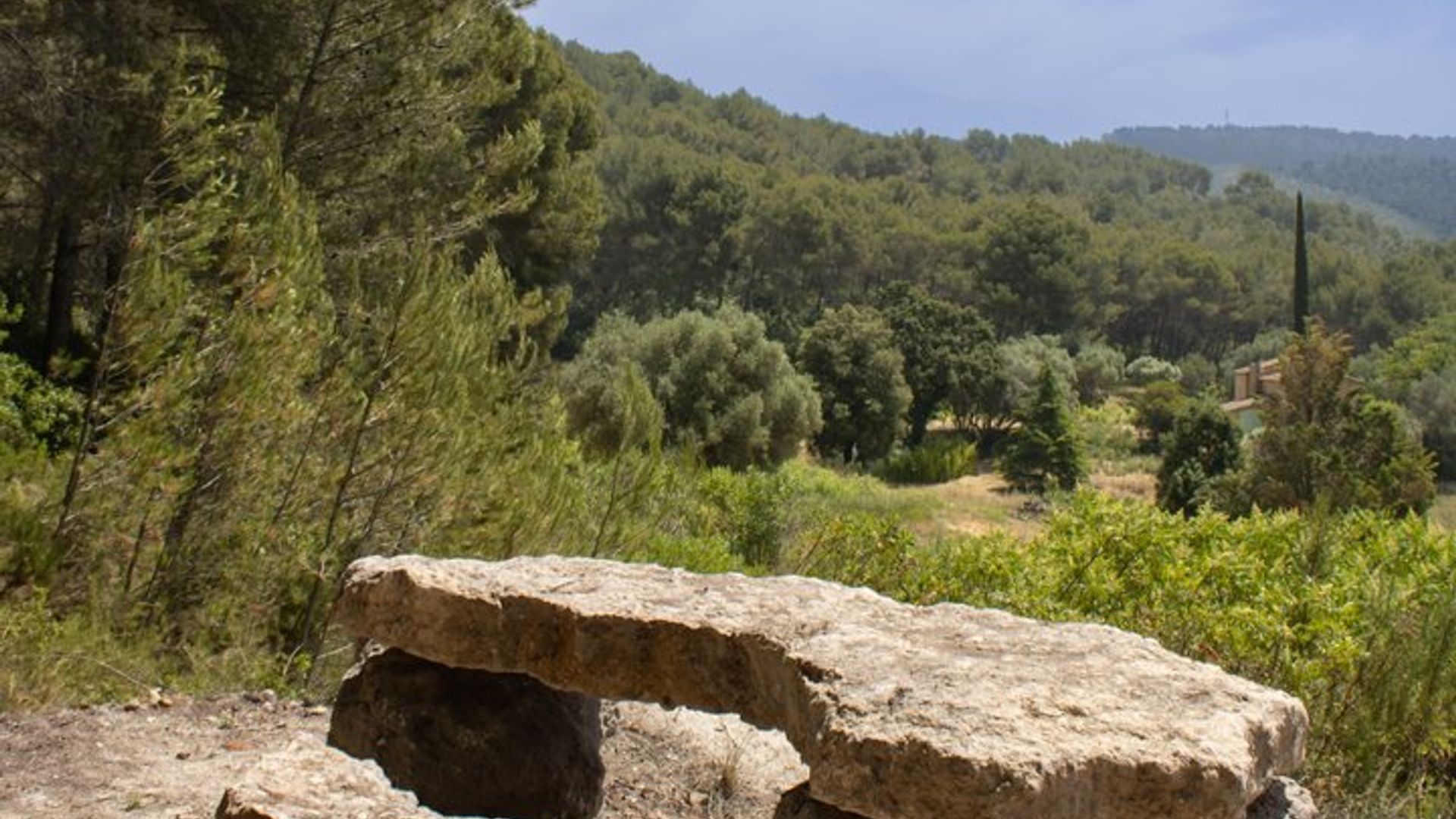 Cassis Domaine forest des janots and route des ridges en Buggy
