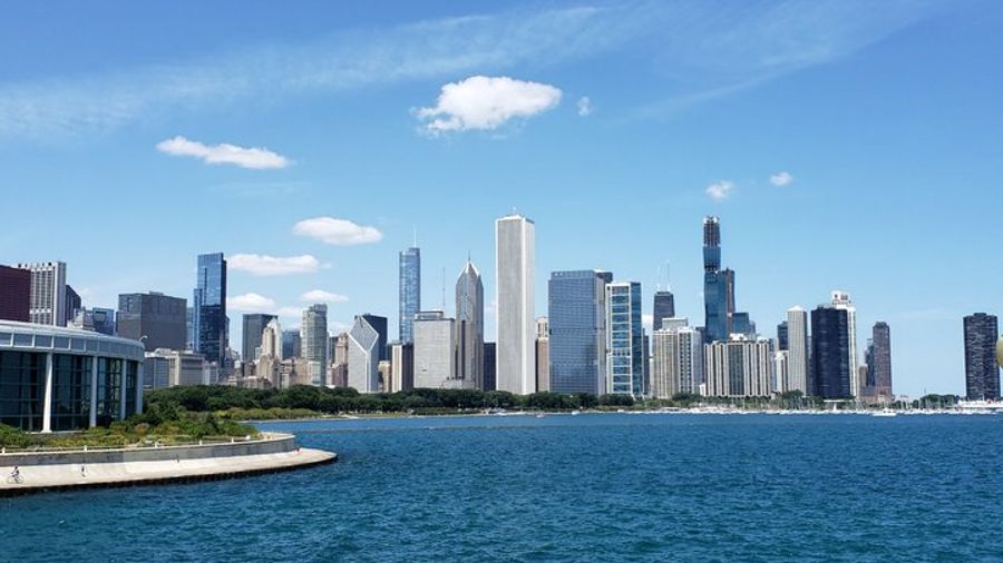 Chicago City Small-Group Minibus Tour