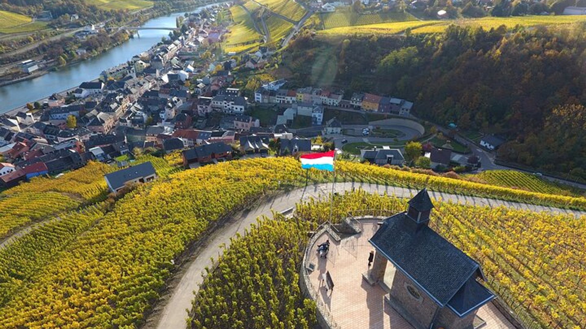 Tour de un día en grupo por el Mosela de Luxemburgo con cata de vinos