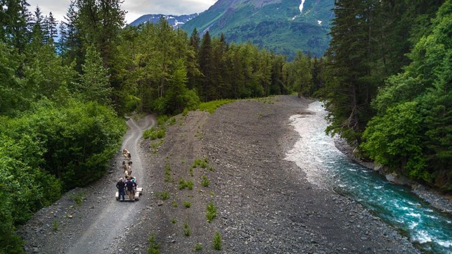 Seward and Kenai Fjords National Park Guided Tour with Lunch