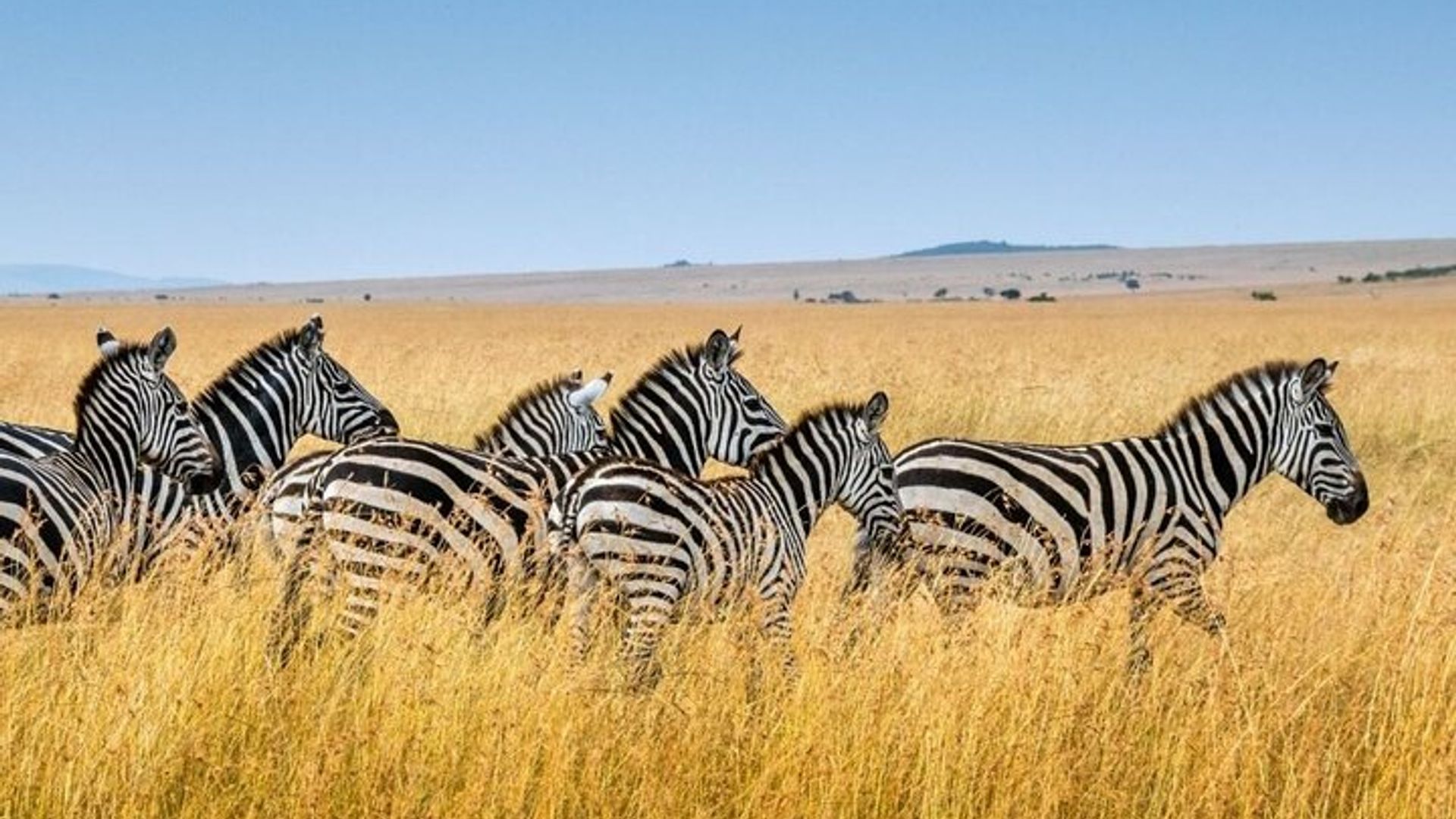 Garden Route 4 Day Small Group tour from Cape Town Starts Any Day