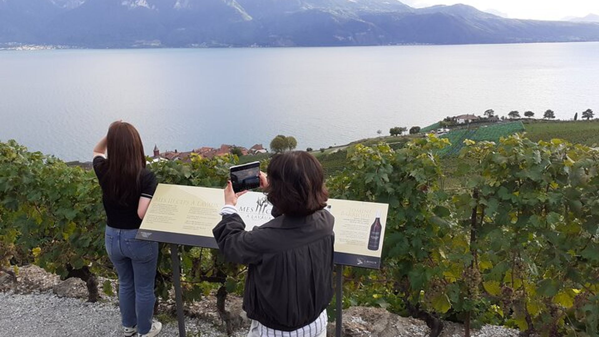 Six Hour Private Tour of The Swiss Riviera