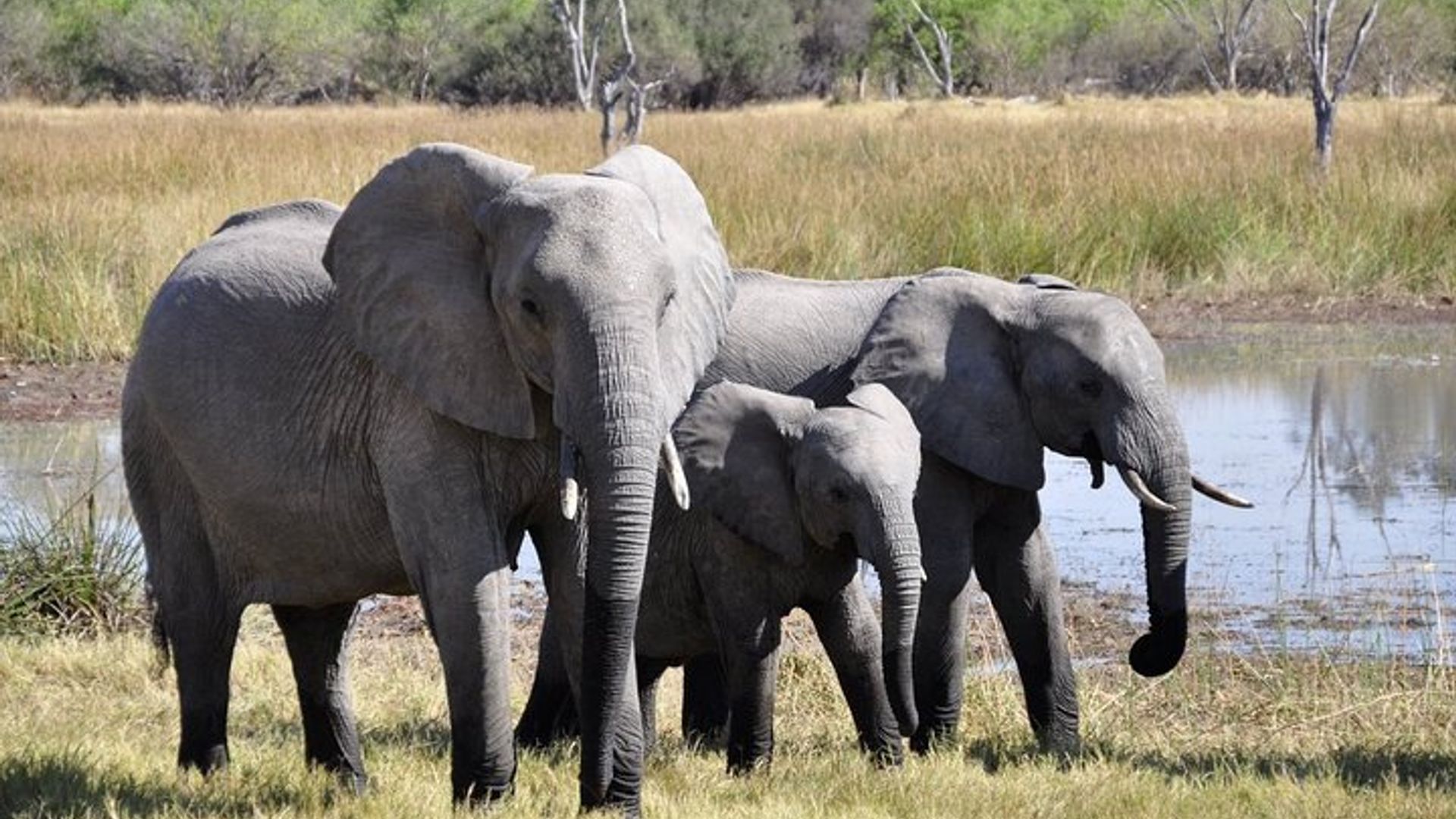 Garden Route 4-Day Private Tour From Cape Town
