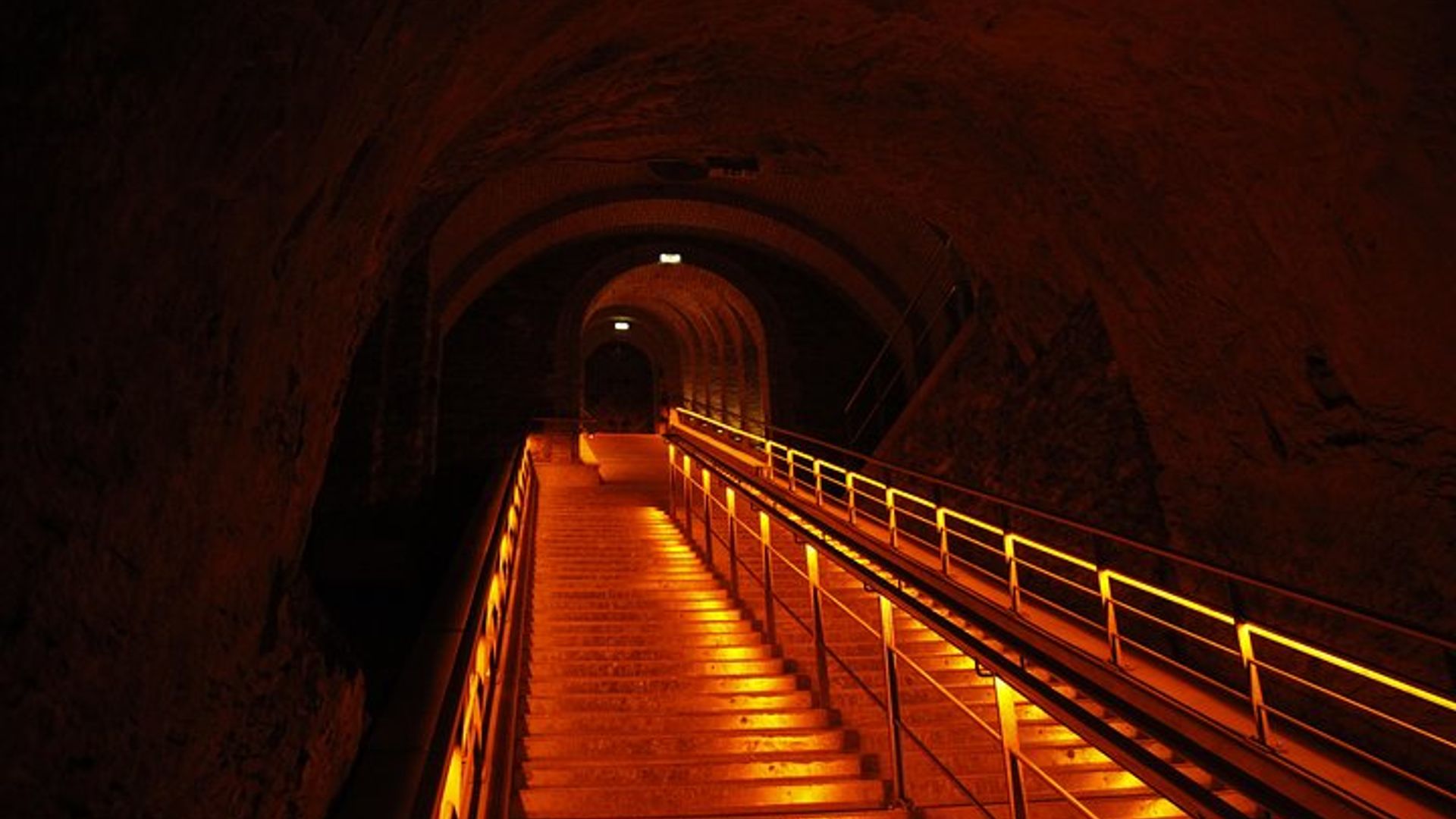 Excursión de un día en champán desde París con 8 degustaciones y almuerzo