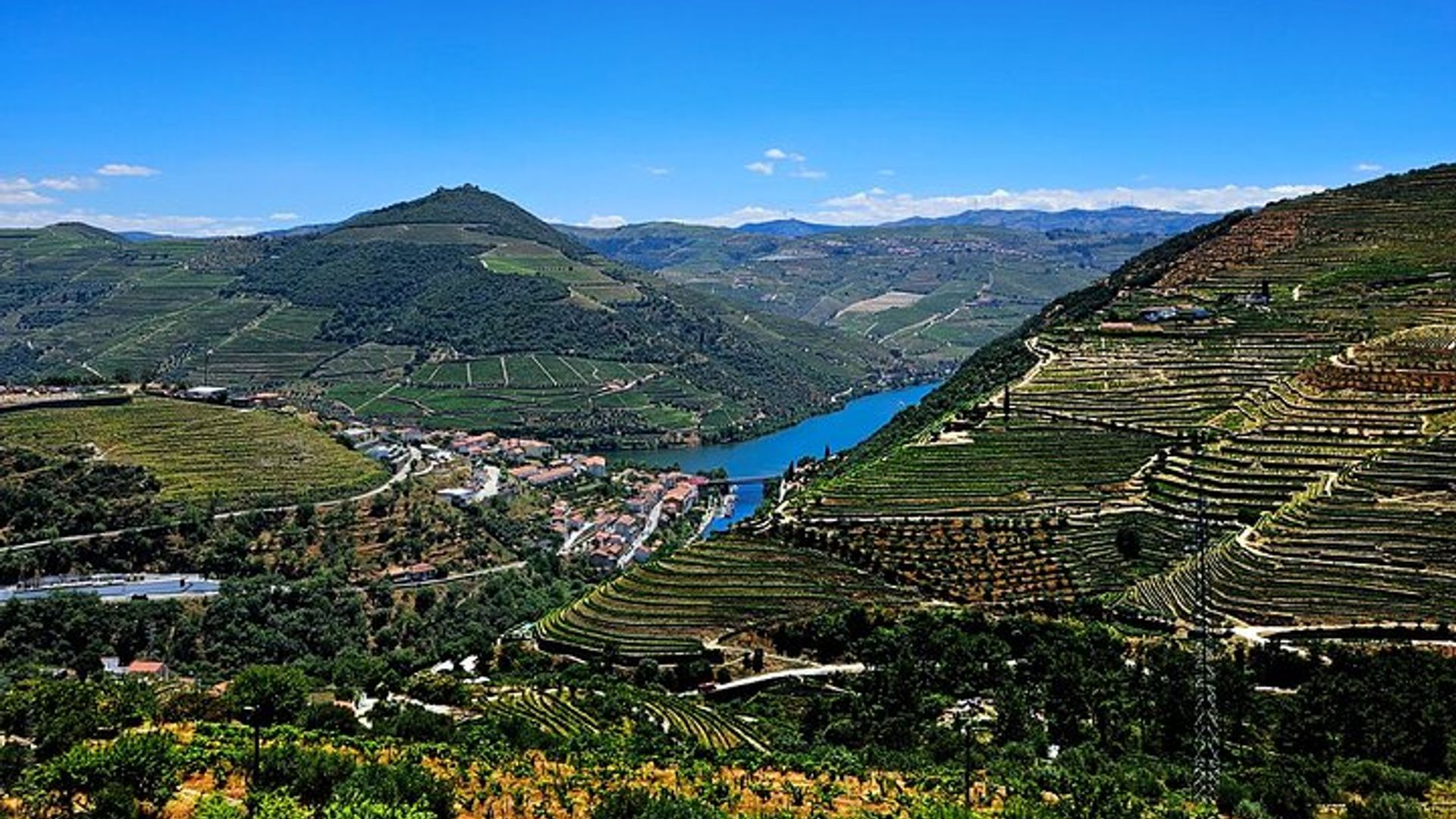 Douro Valley and Minho Private Wine Tour From Porto With Lunch