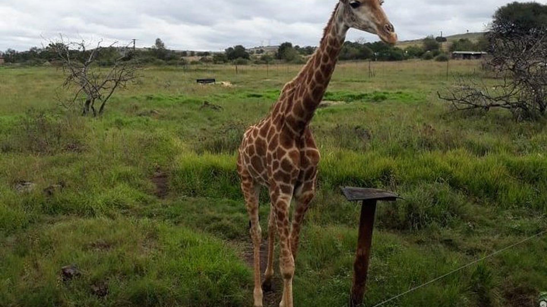 Pilanesberg Nature Reserve, Sun City Resort Tour, Johannesburg