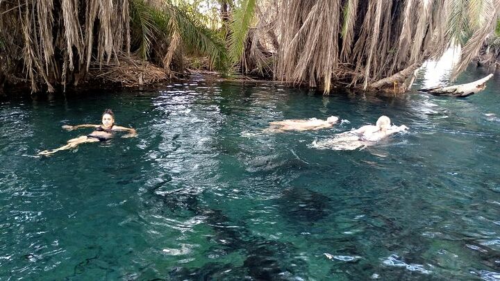 1 Full Day to Materuni Waterfalls, Coffee Tour & Chemka Hotspring