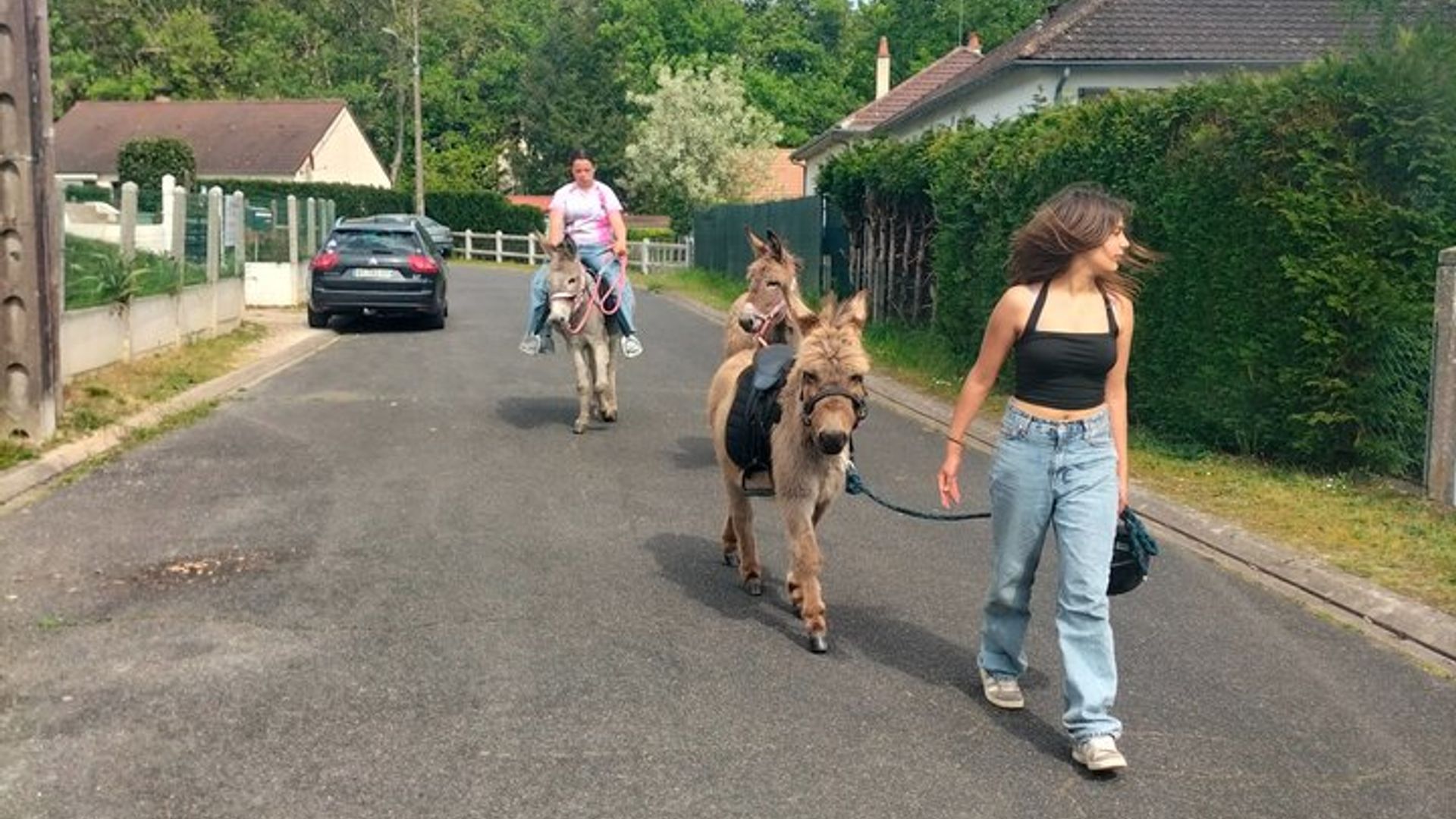 Paseos en burro por senderos