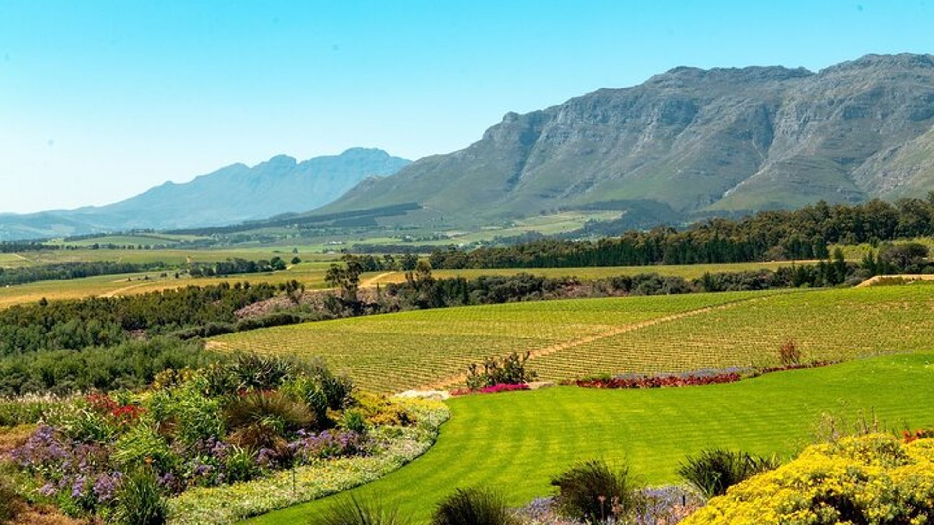 Excursión de medio día a Stellenbosch Winelands desde Ciudad del Cabo