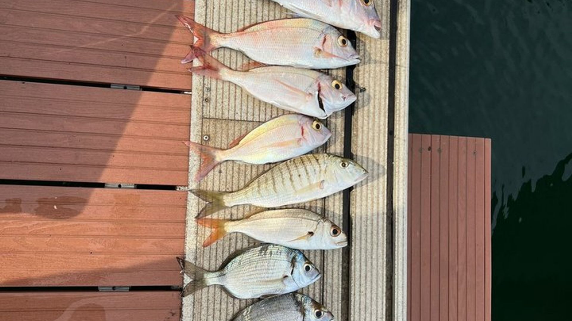ANGELFANG-ERLEBNIS-GARANTIE FANG Option Wake und Tubing