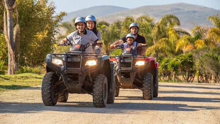 Las Cañadas ATV Tour (with Roundtrip Luxury Transportation)