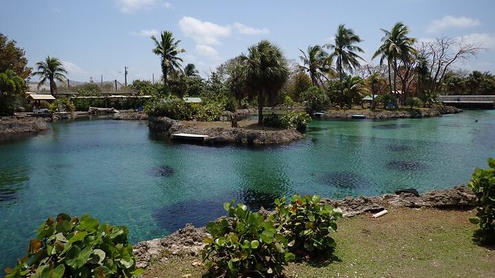 Grand Cayman 4-in-1 Wildlife Adventure With Stingray City
