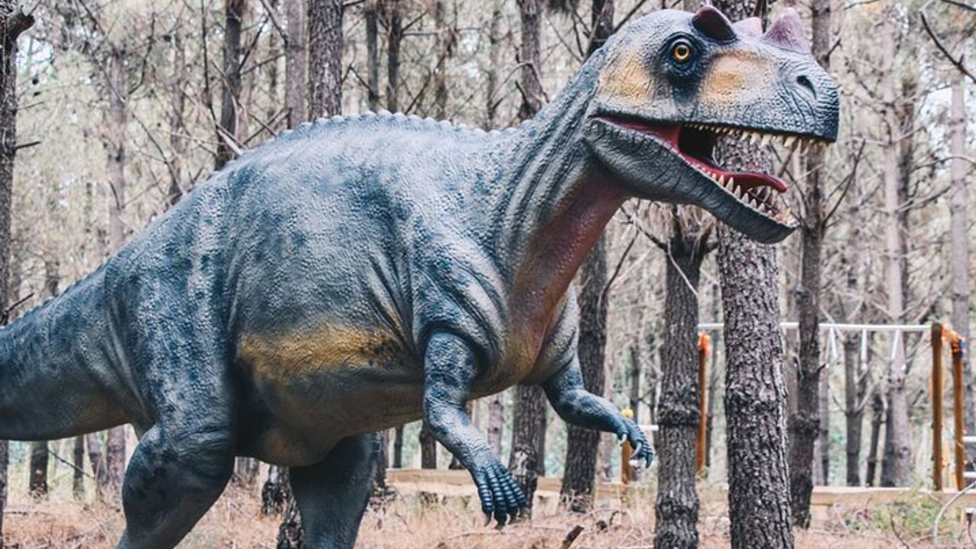 Lissabon : Dinosaurierpark-Tour mit privatem Hin- und Rücktransport