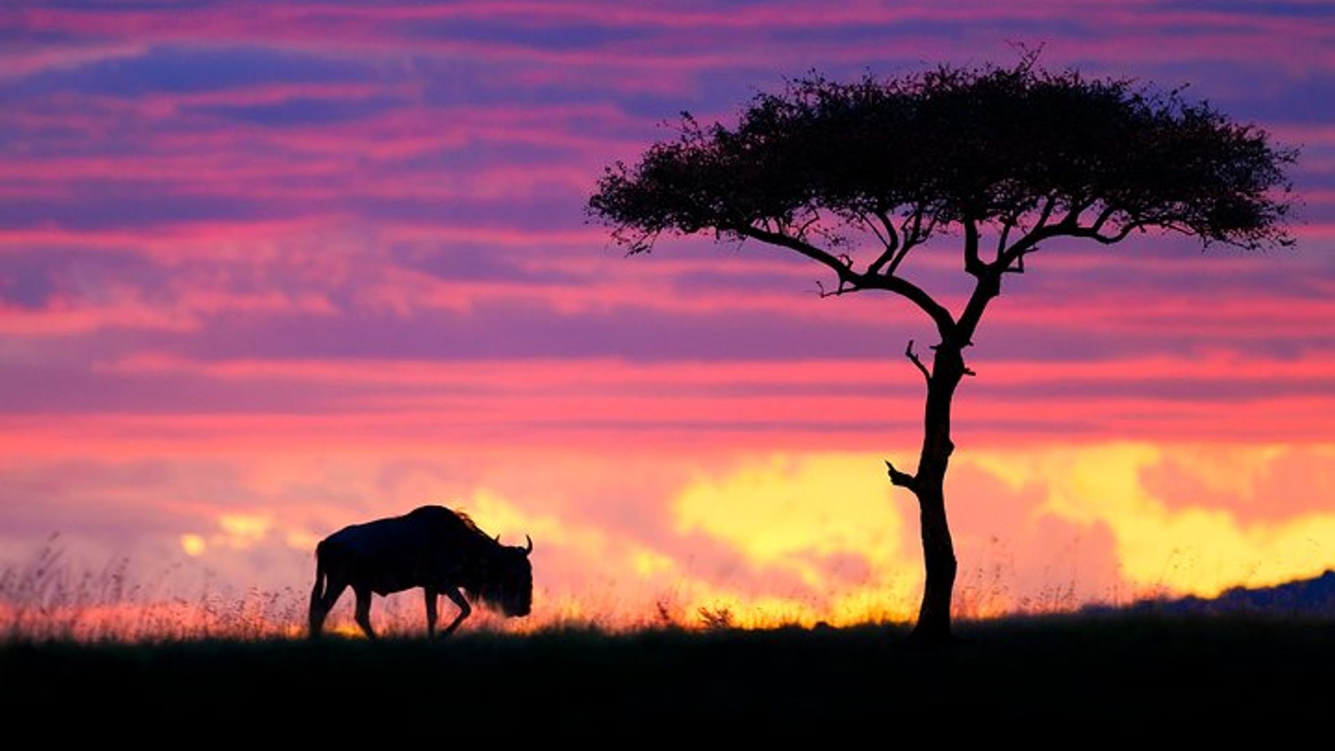 8 Days Masai Mara & Zanzibar Honeymoon Package