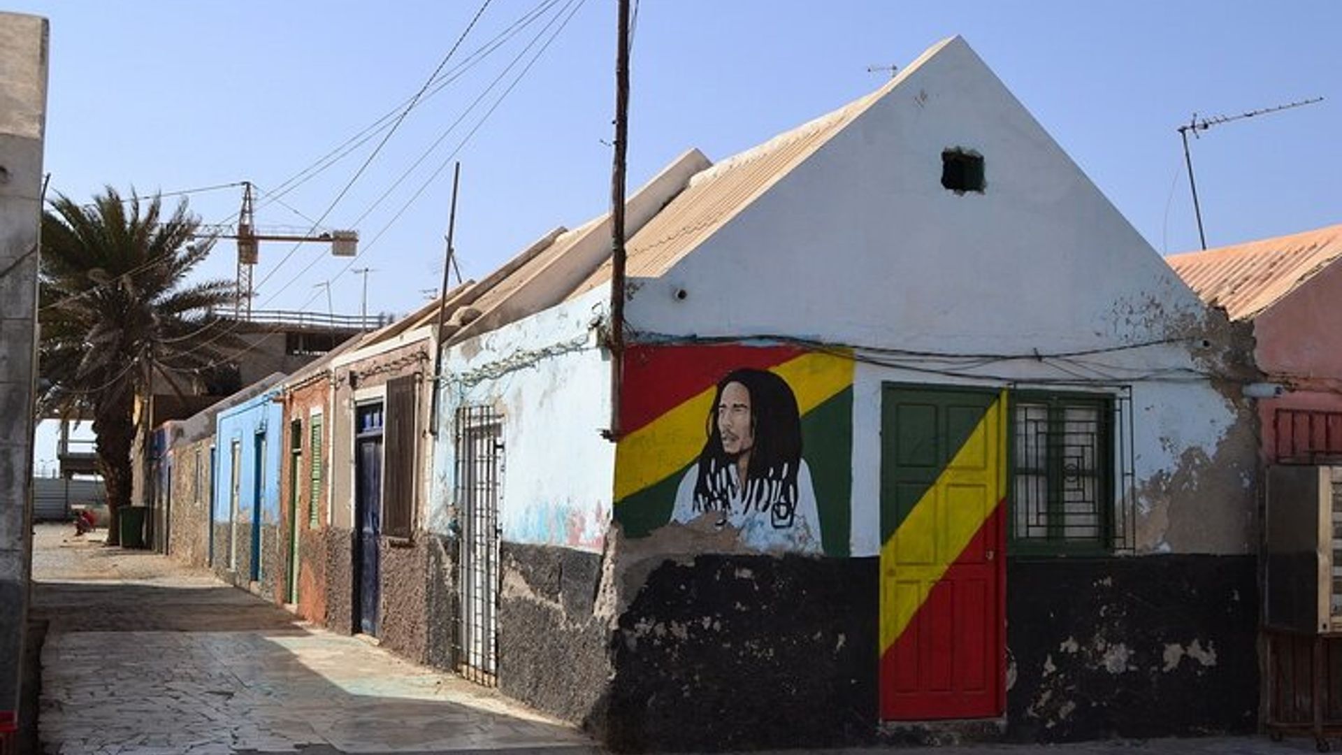 From Sal Island Blu eye Salt lake Lemon Sharks and Palmeira