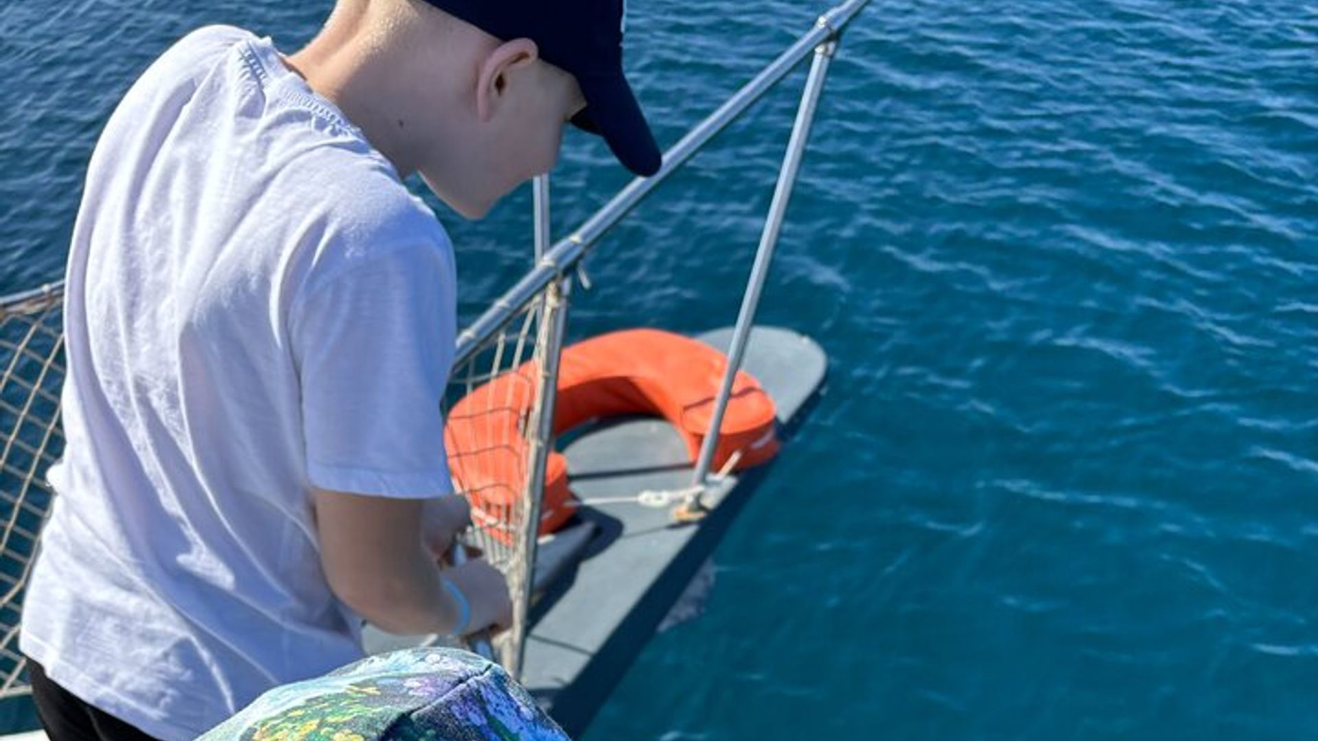 2-Hour Excursion in Search of Dolphins/ Includes Drink and Snacks