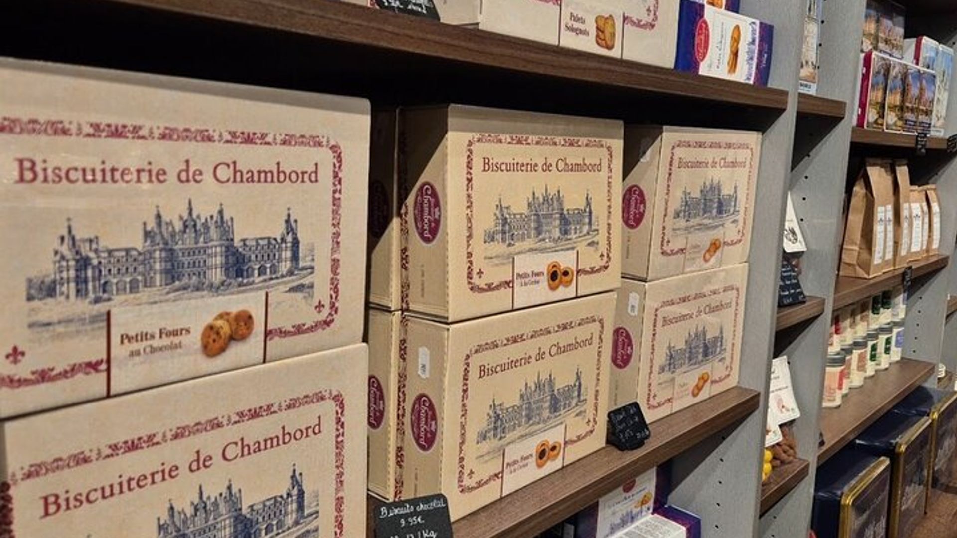 Loiretal Schlösser Private Tour von Paris mit dem Minivan