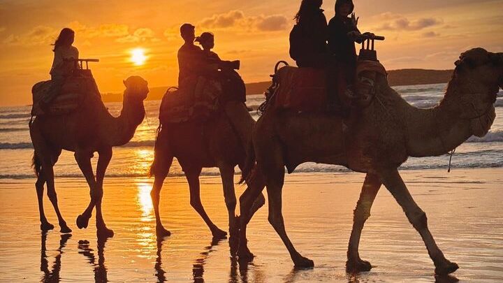 Camel Ride with khalid in Essaouira