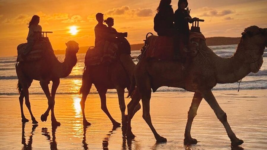 Camel Ride with khalid in Essaouira
