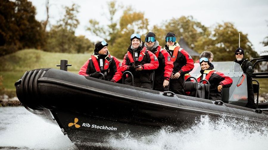 Stockholm Archipelago Speedboat Tour