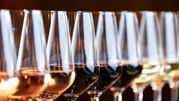 Slovak wine tasting with a sommelier in Bratislava