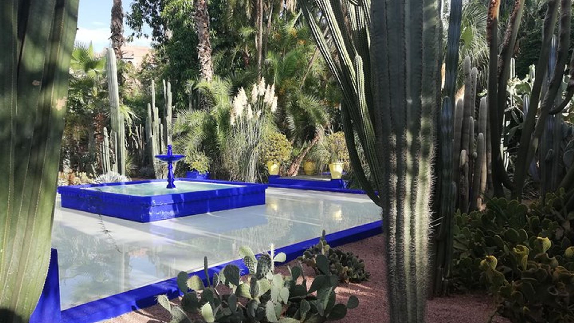 Marrakech: Private Guided Half-Day City Tours