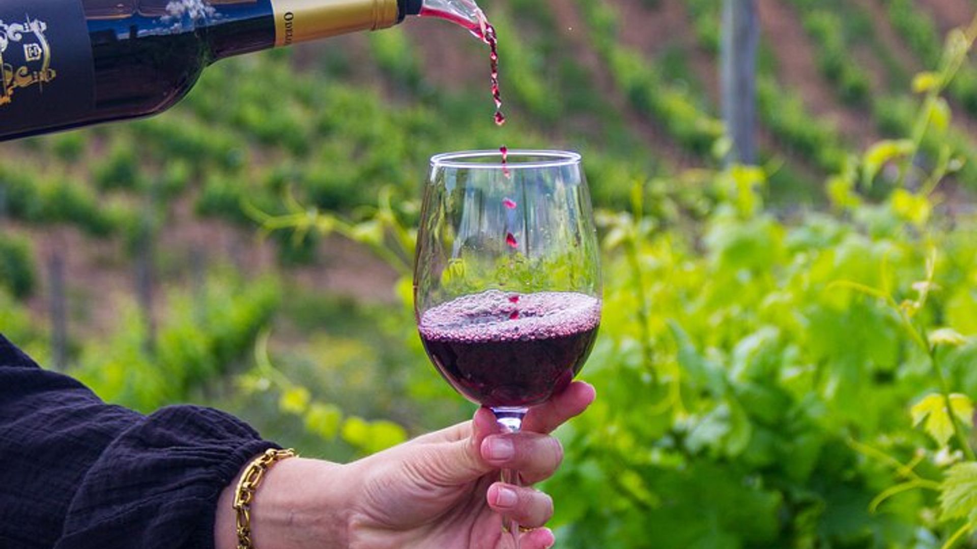 Albufeira Wine Tasting: Boutique Winery Tour & Historic Silves