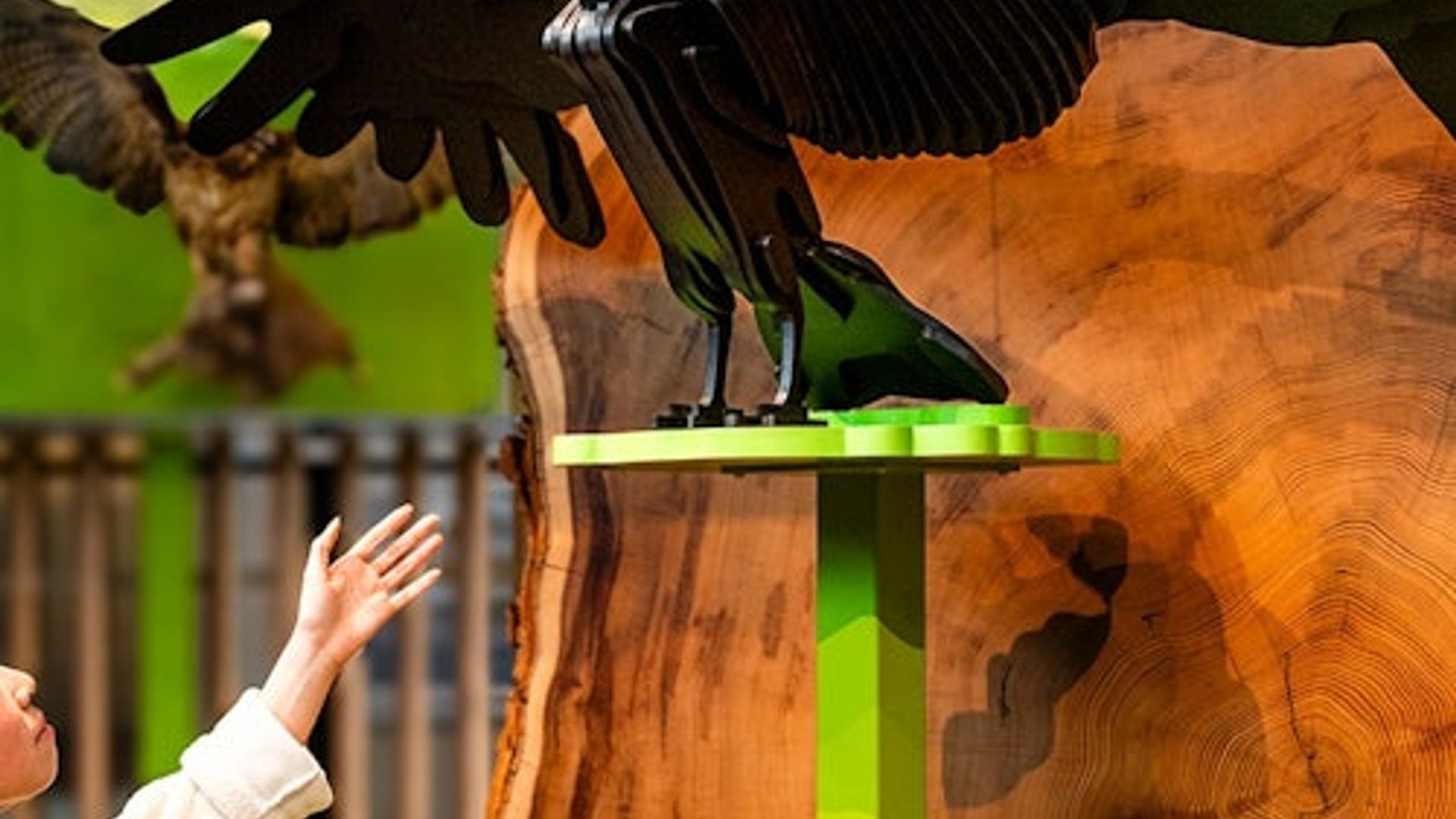 California Academy of Sciences: Entry Ticket image 1