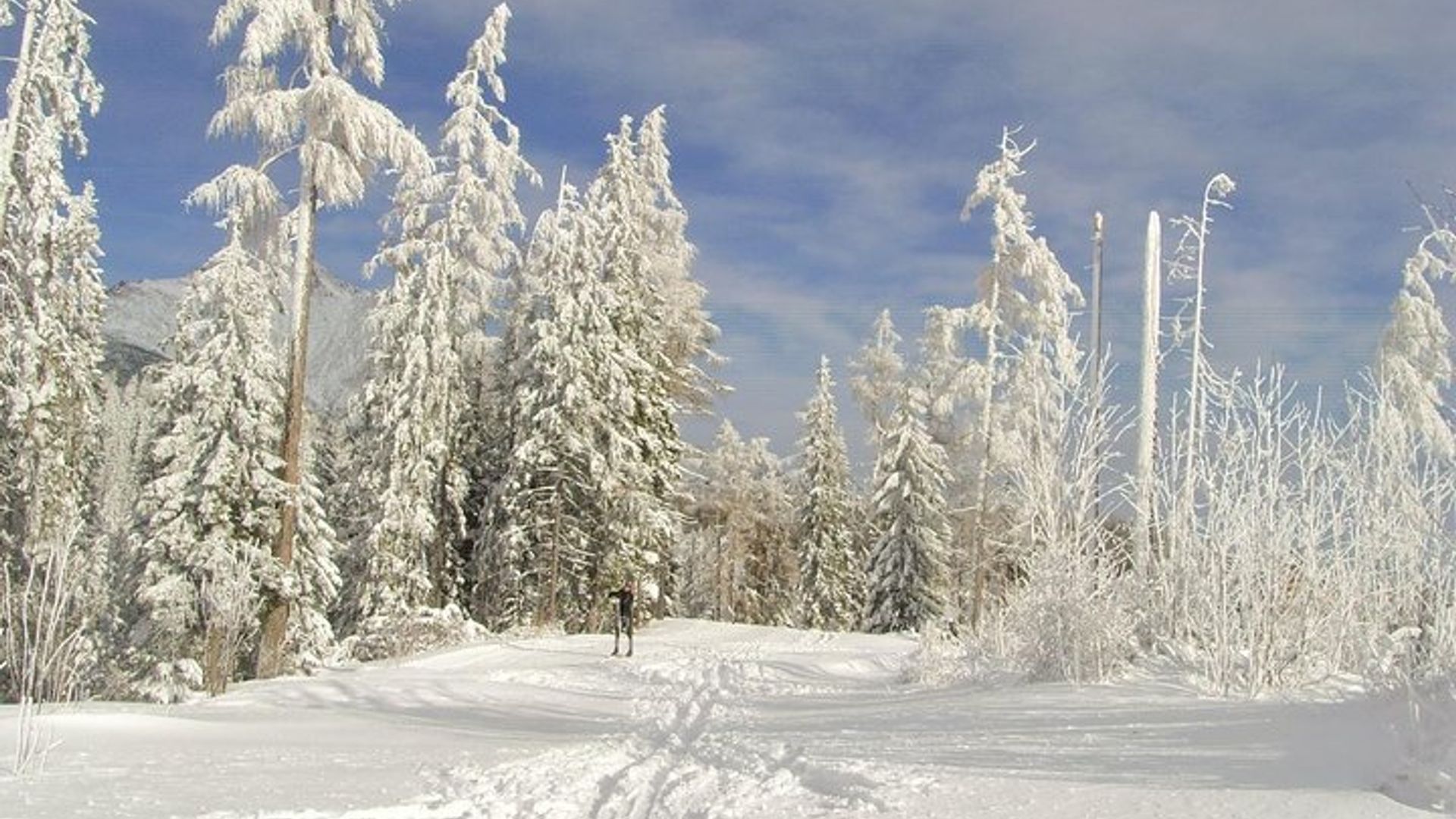 Slovakia Ancestry Private Tour for 2 people minimum