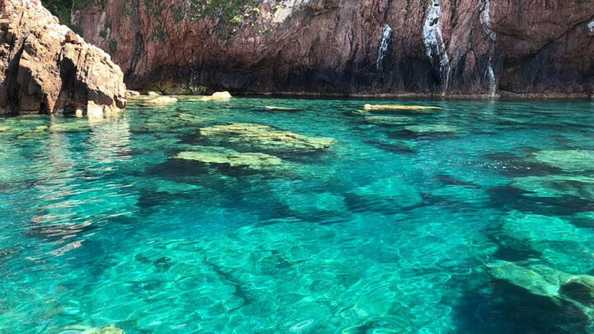 De Sagone/Cargèse: Scandola Girolata 2h Calanques Piana Baignade