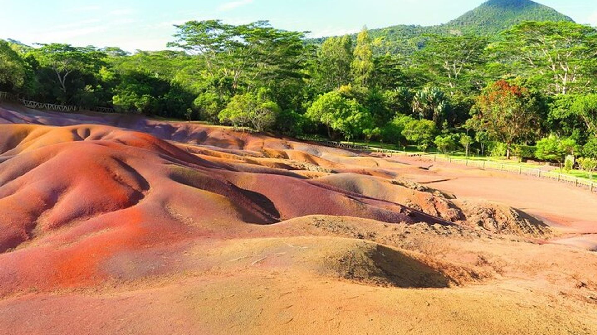 EXOTIQUE Sud-Ouest de l'île Maurice avec Ebony JEEP Forest Safari & Déjeuner