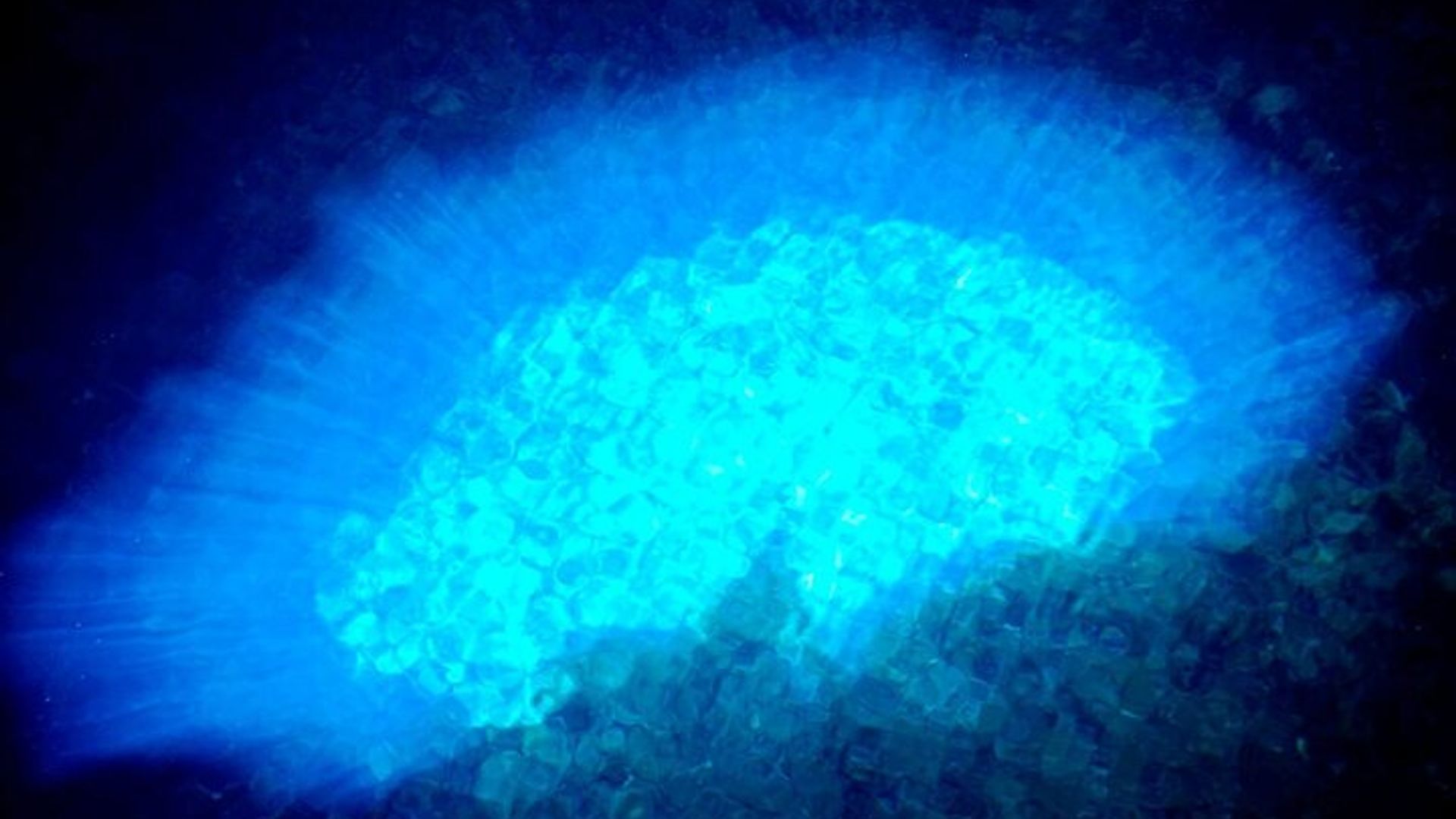 Excursion d'une journée complète sur l'île de Sal à Santa Maria