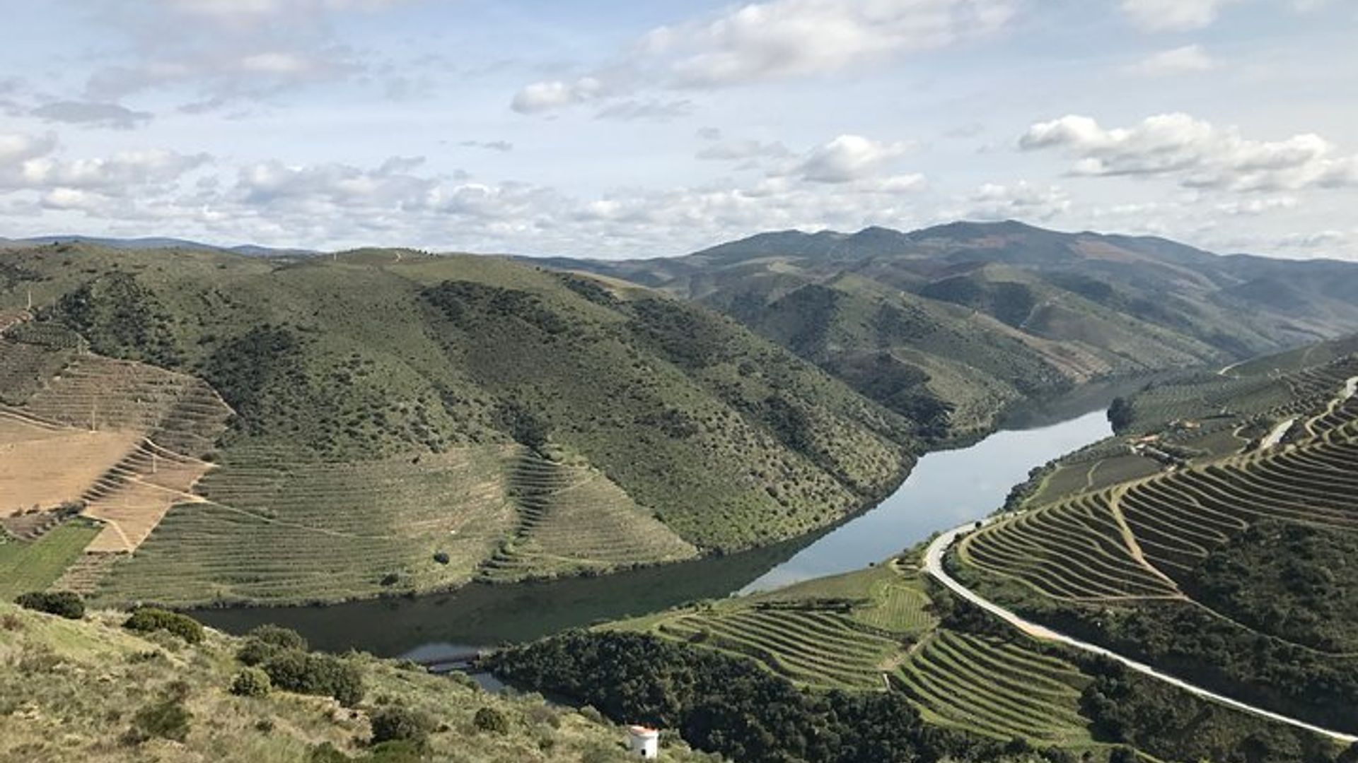 Private Douro Valley Tour Includes Wine Tasting and Boat Tour